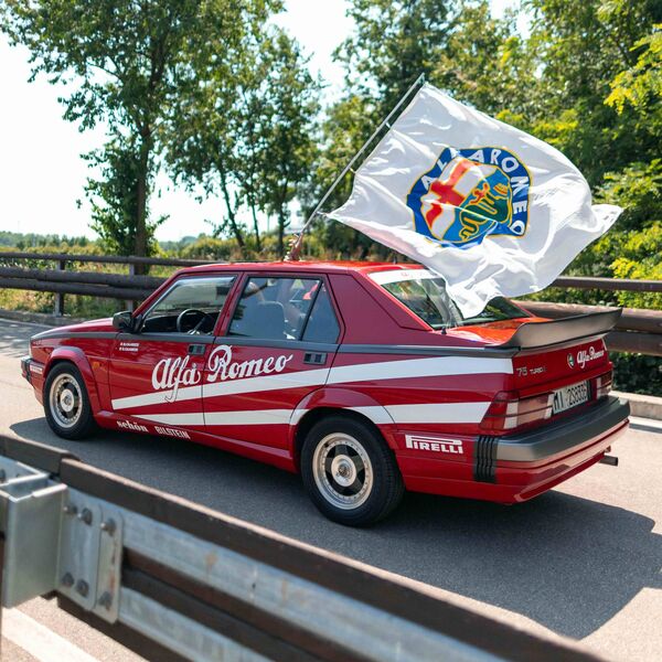 La famille Alfa fête son anniversaire